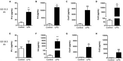 Effect of Sublethal Prenatal Endotoxaemia on Murine Placental Transport Systems and Lipid Homeostasis